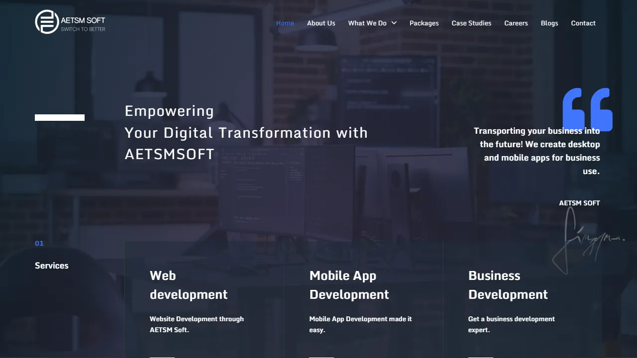 aetsmsoft.com - Custom Software Development Company Solutions screenshot