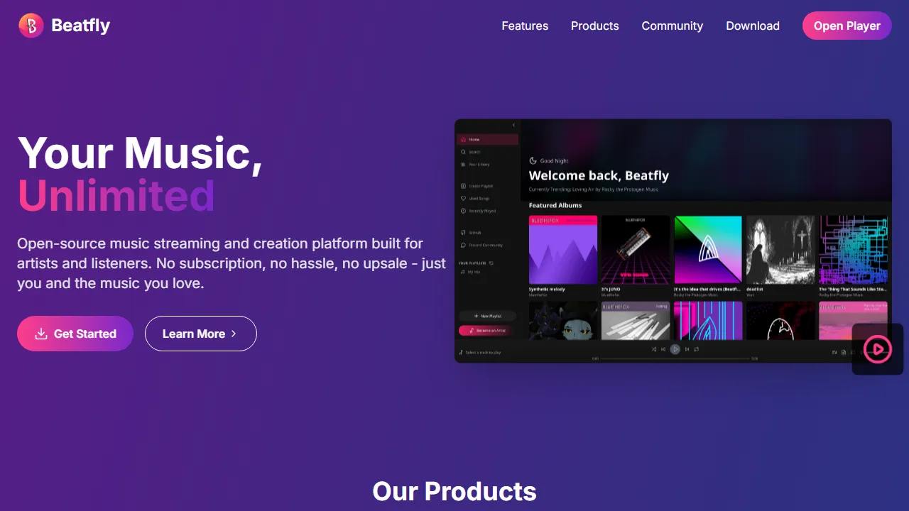 beatfly-music.xyz - Open Source Music Streaming Platform for Artists screenshot