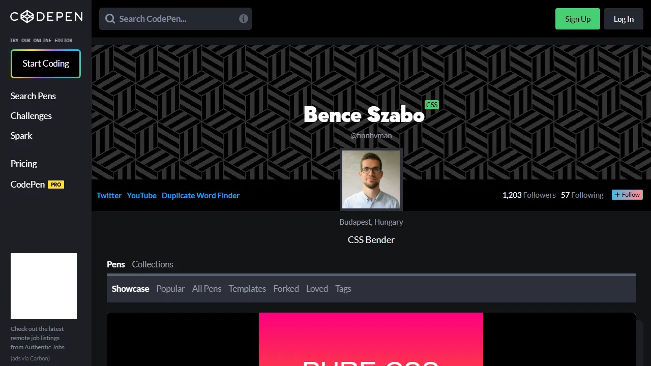 codepen.io - Duplicate Word Finder For Writers screenshot