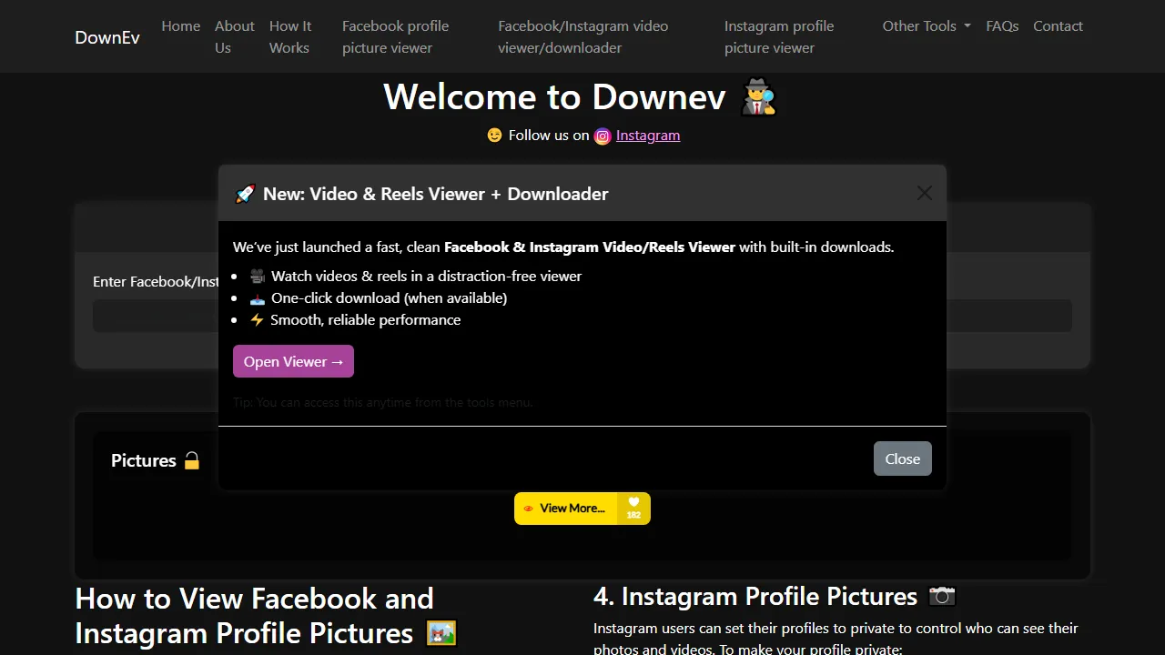 downev.com - Instagram Profile Picture Downloader in HD screenshot