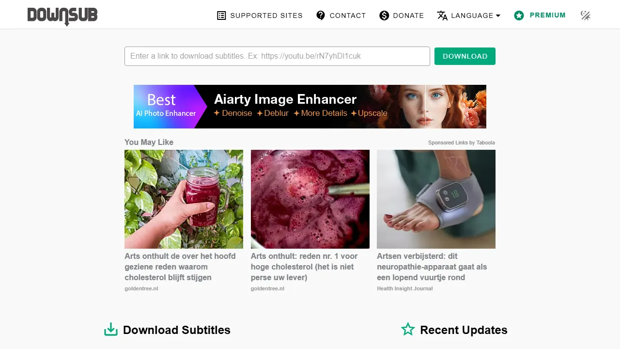 downsub.com - Subtitle Downloader - Get Subtitles screenshot