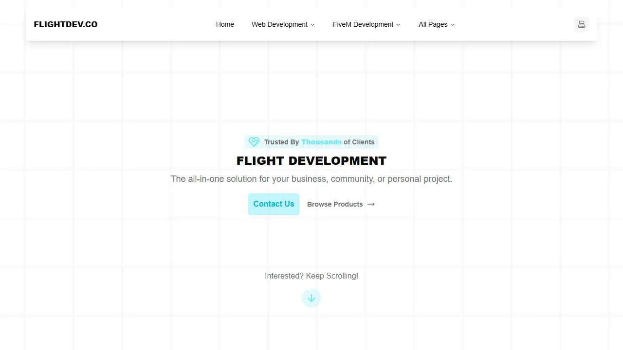 flightdev.co - Discord Developer Bots and Full-Stack Web Development screenshot