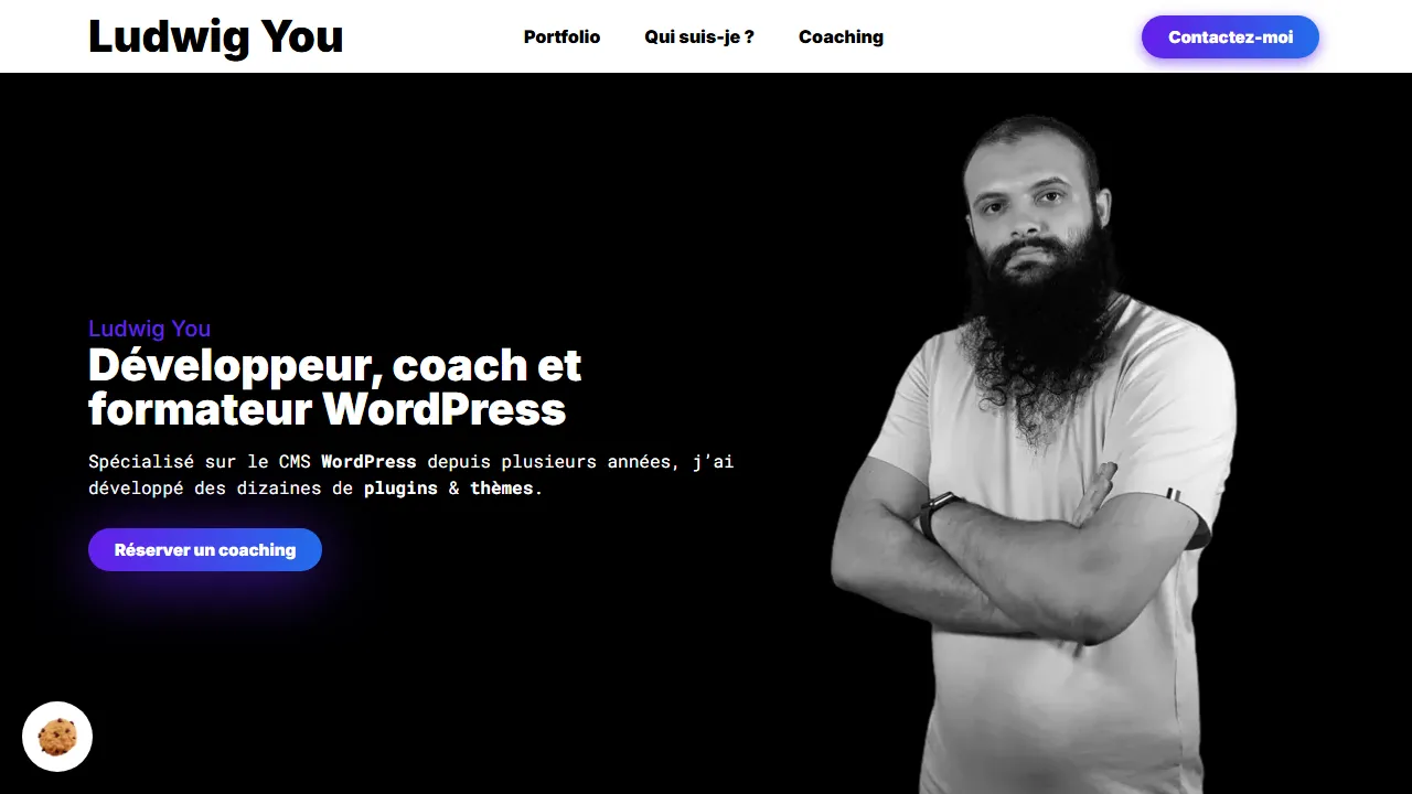 ludwig-you.fr - Free WordPress Plugins For Your Site screenshot