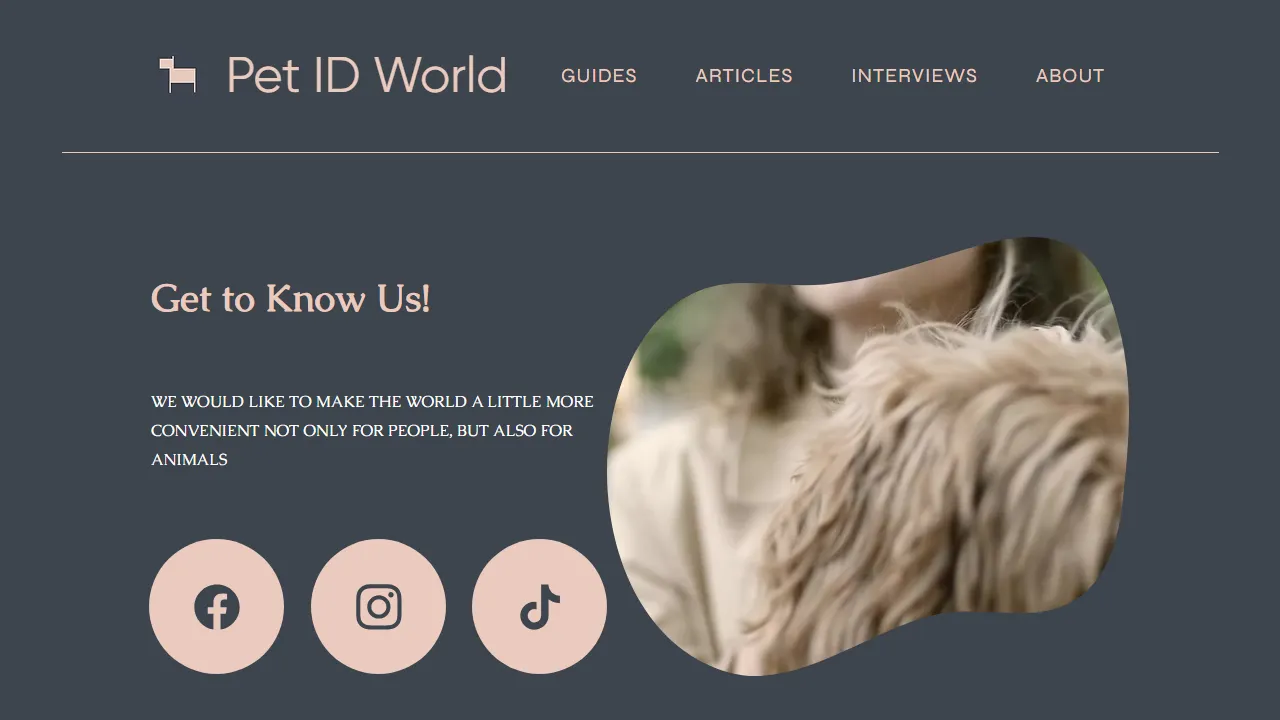 petidworld.com - Best Pet Sitting App for Dog Owners screenshot