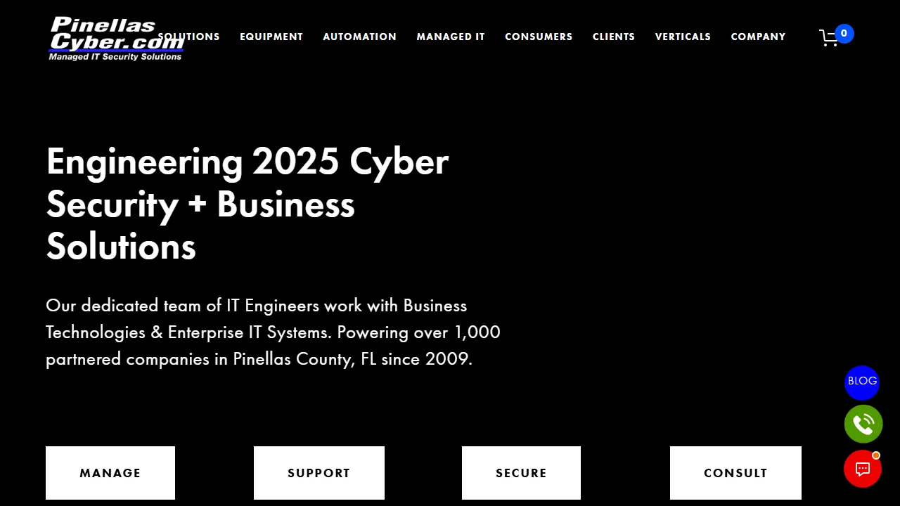 pinellascomputers.com - IT Project Management and Service Solutions screenshot