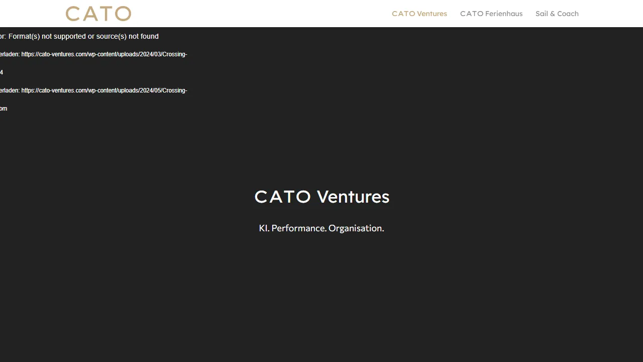 tminnovations.at - Custom Software Development and Apps screenshot