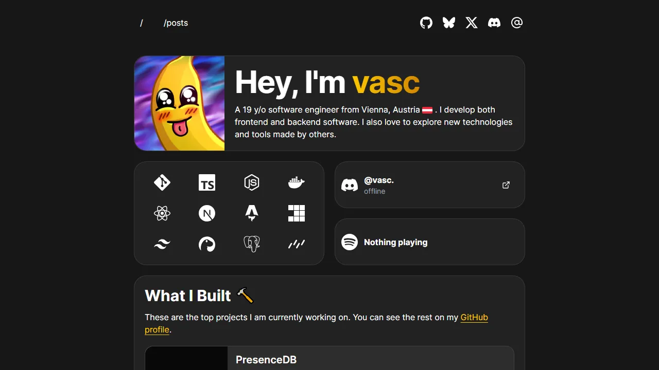 vasc.dev - Database Management and Project Support screenshot