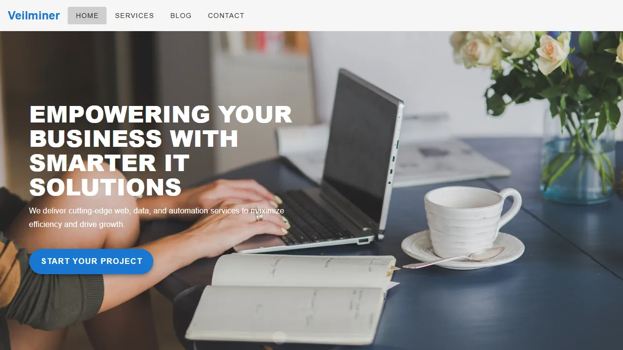veilminer.online - Scalable Web Development and Automation Solutions screenshot