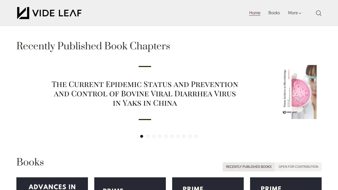 videleaf.com - Digital Book Publishing Platform For Ebooks screenshot